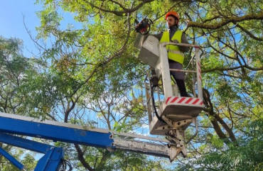 Passione vivaistica, esperienza concreta, amore per il verde