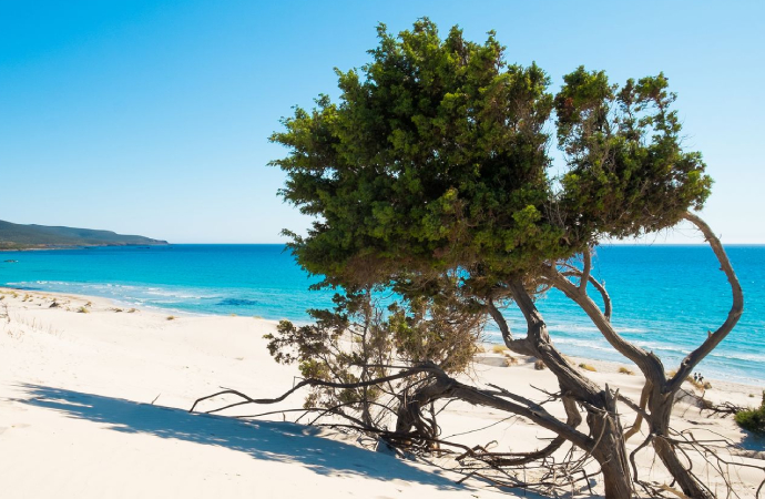 Mittimedelhavet -  Esperienza dei viaggi a piedi o in bicicletta